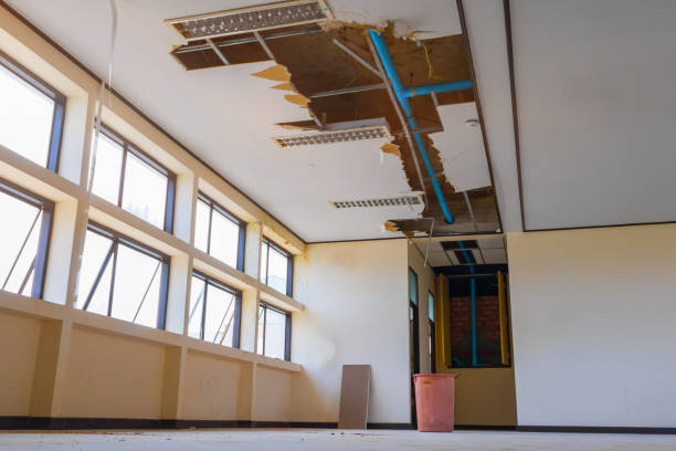 Best Professional water damage repair  in Comstock Northwest, MI