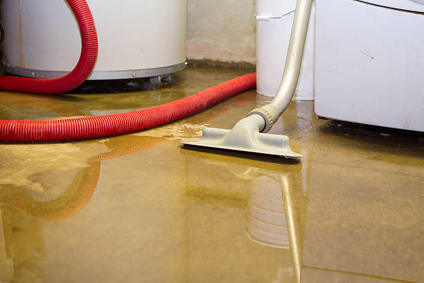 Best Fire Damage Restoration  in Comstock Northwest, MI